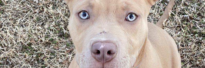 _danniieellaa's profile banner image