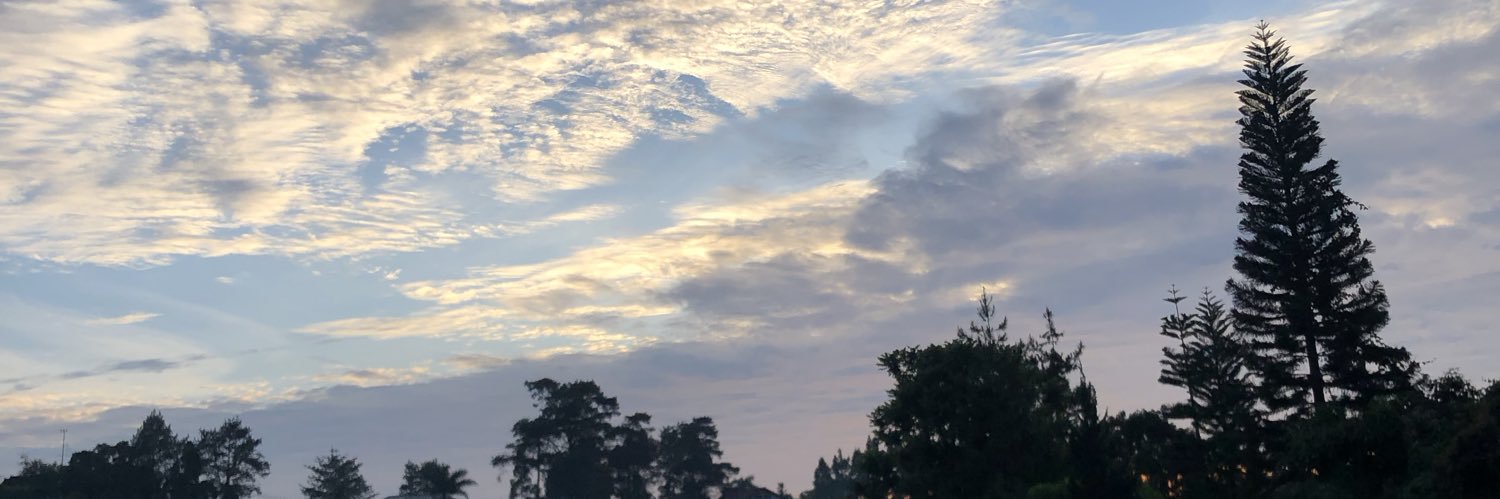 Mbamega_'s profile banner image
