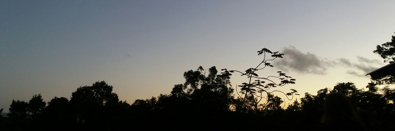 annaajuliac's profile banner image