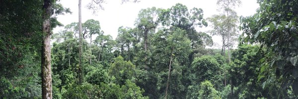 Toby_D_Jackson Profile Banner