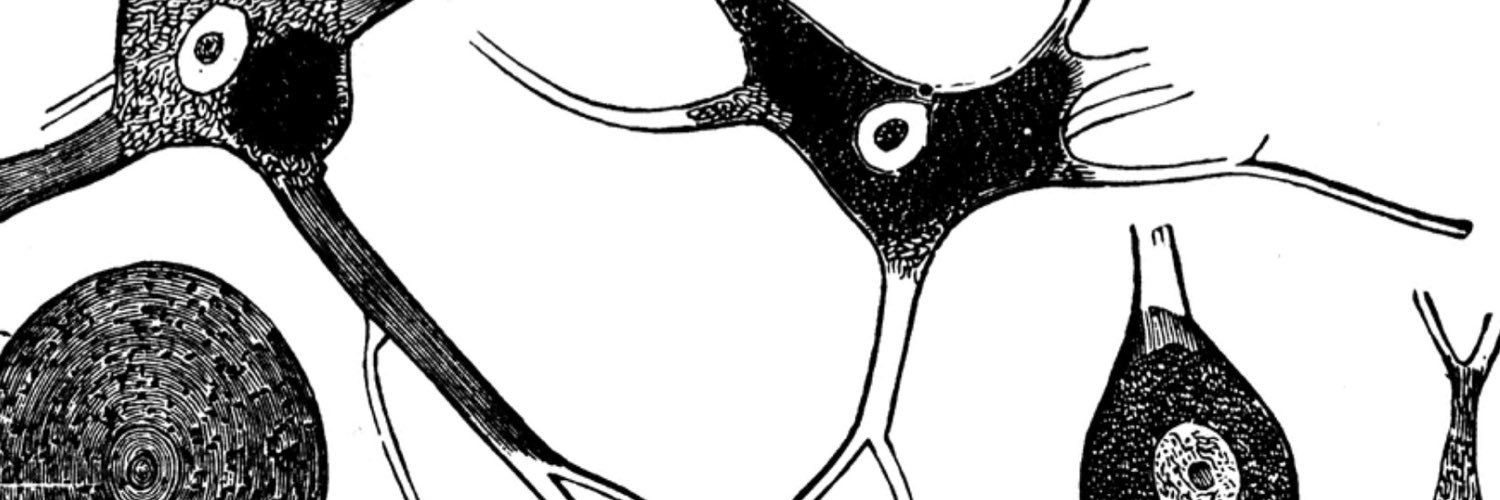 bmrebar's profile banner image