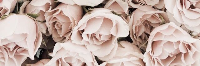 jess2893's profile banner image