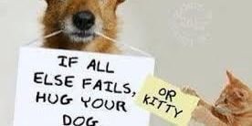 love4animals4ev's profile banner image