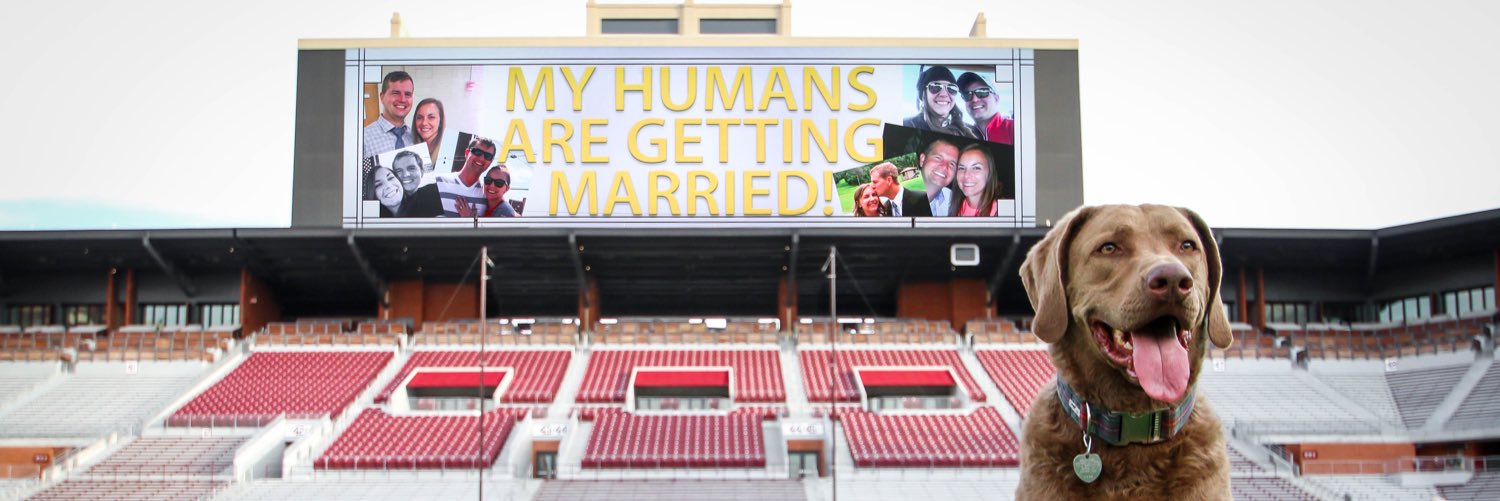 Stormy Morelli banner