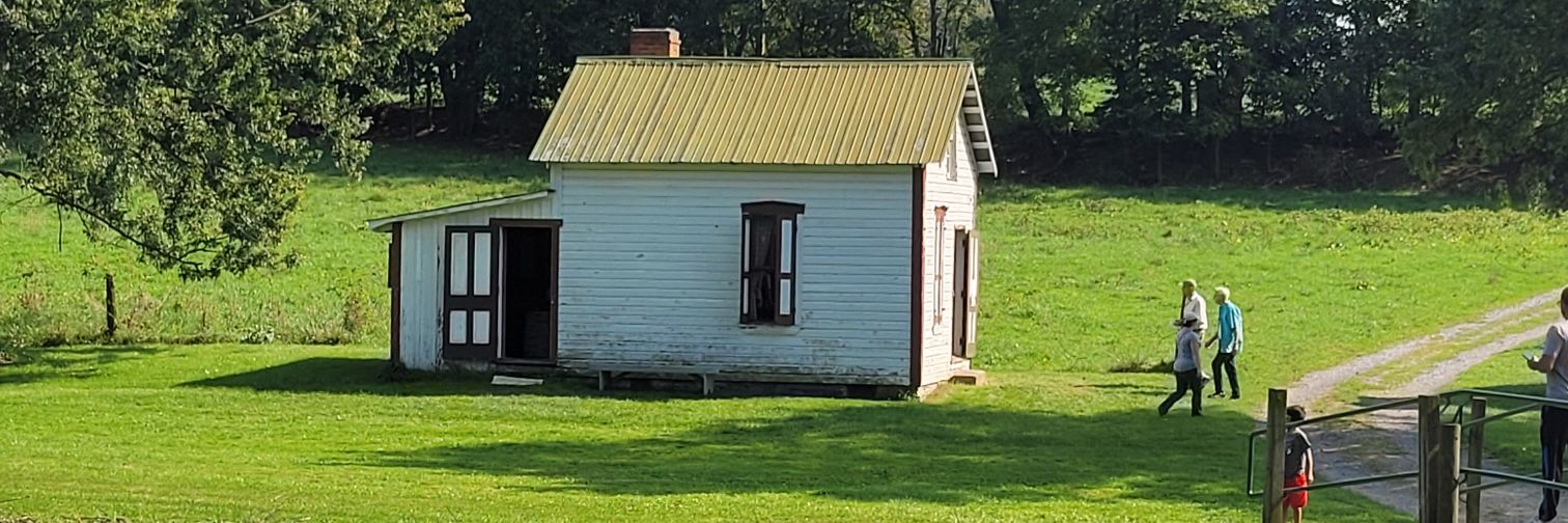 Farmer's Daughter🖌️📚🧵🧶🌈🇺🇦🏳️‍⚧️🟧🇺🇸🦅 banner