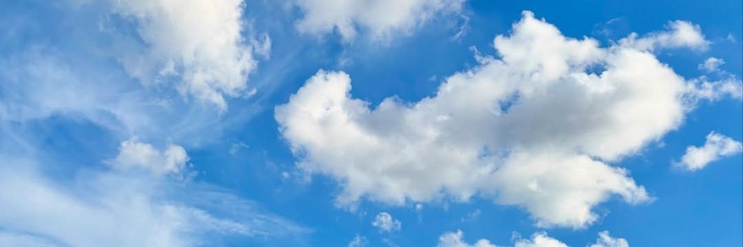 Celi Mi ⊹✶ banner