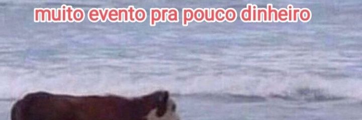 sarah_ccrd's profile banner image