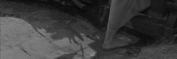 janbrs Profile Banner