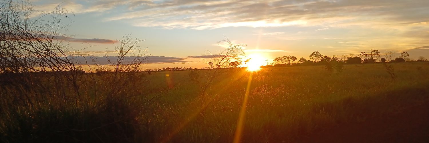 Brazilian citizen 🇧🇷🤝🇮🇱 banner