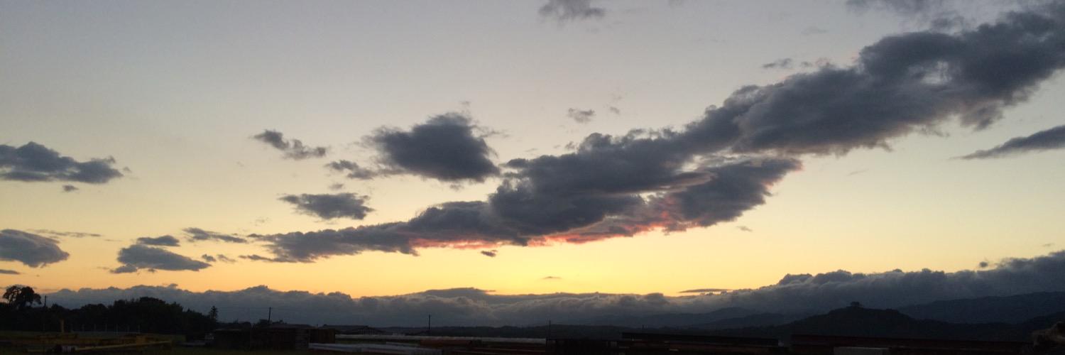 shigerosso's profile banner image