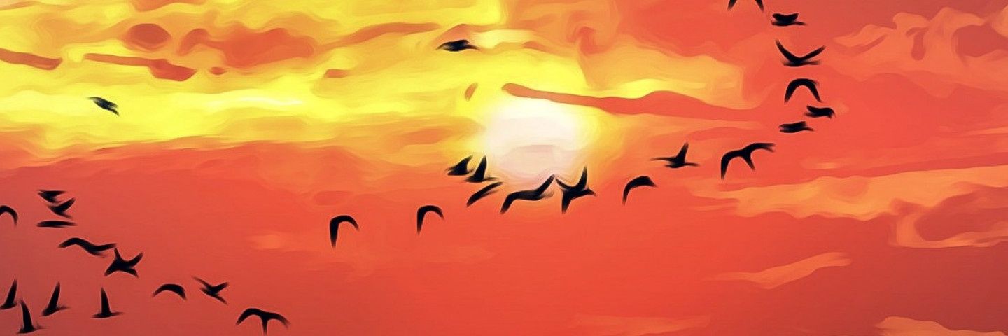 alanjuarezleal's profile banner image