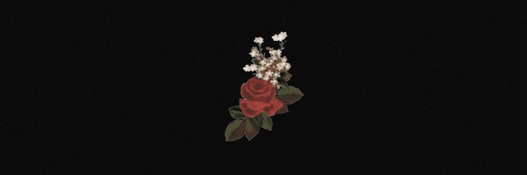 dontpanicmendes's profile banner image