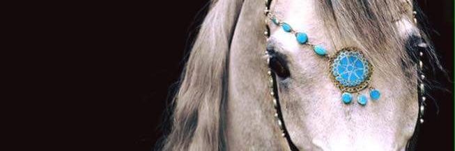 amoula294's profile banner image
