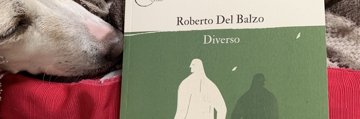 robbidibbi's profile banner image