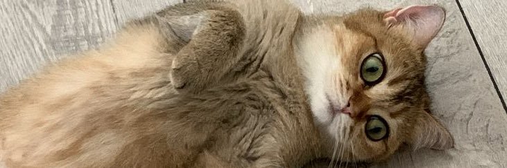 Bora Bıcıoğlu banner