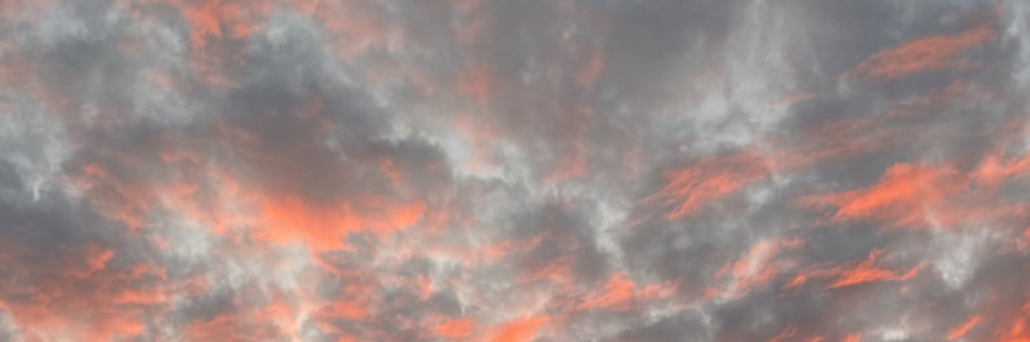 mdnceer1's profile banner image