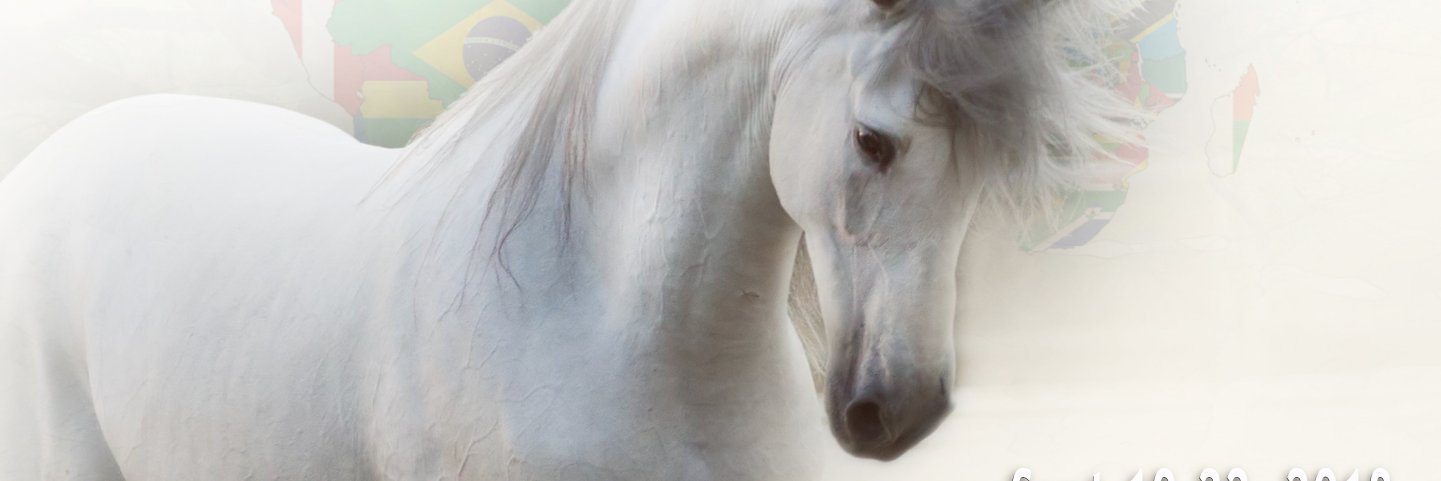 AndalusianWrld's profile banner image