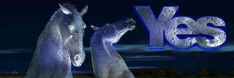 YesFalkirk's profile banner image