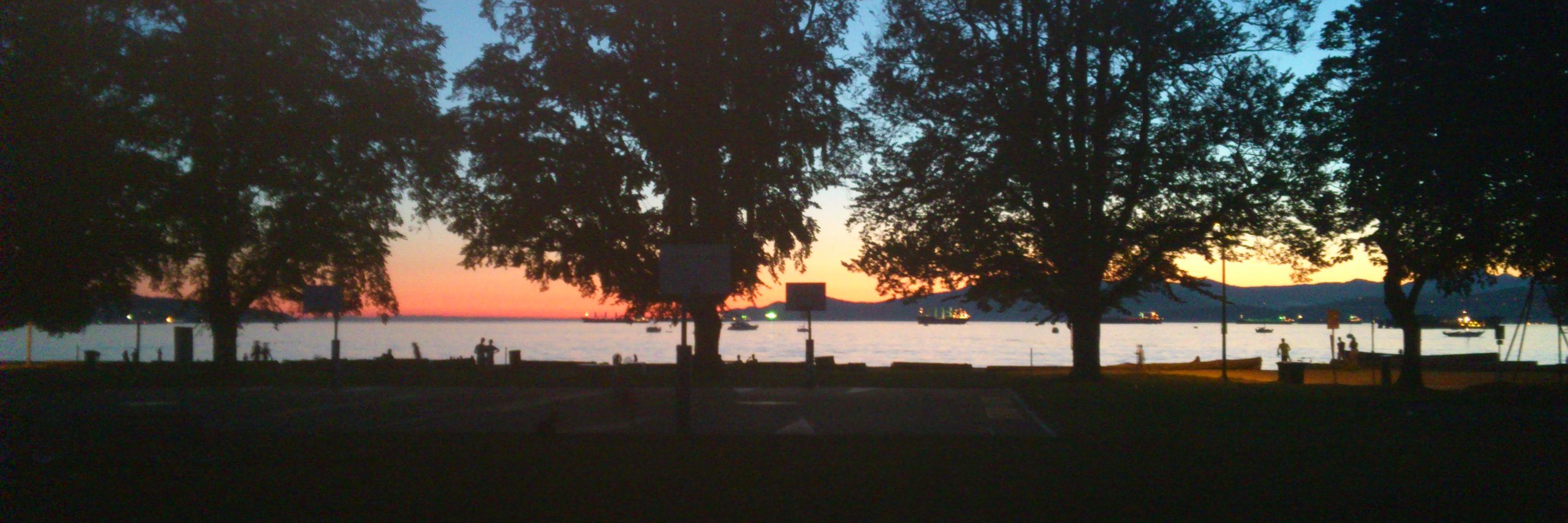 Dr. Fraud 🏳️‍🌈 banner