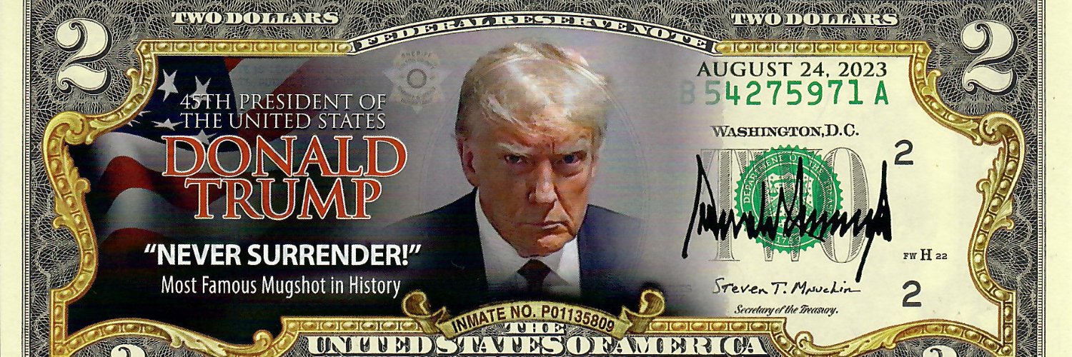 Amish Electrician banner