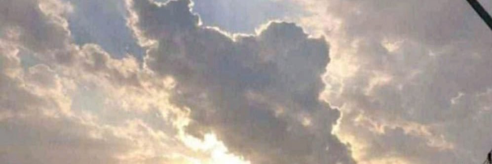 نوش 🕊️🎒 banner