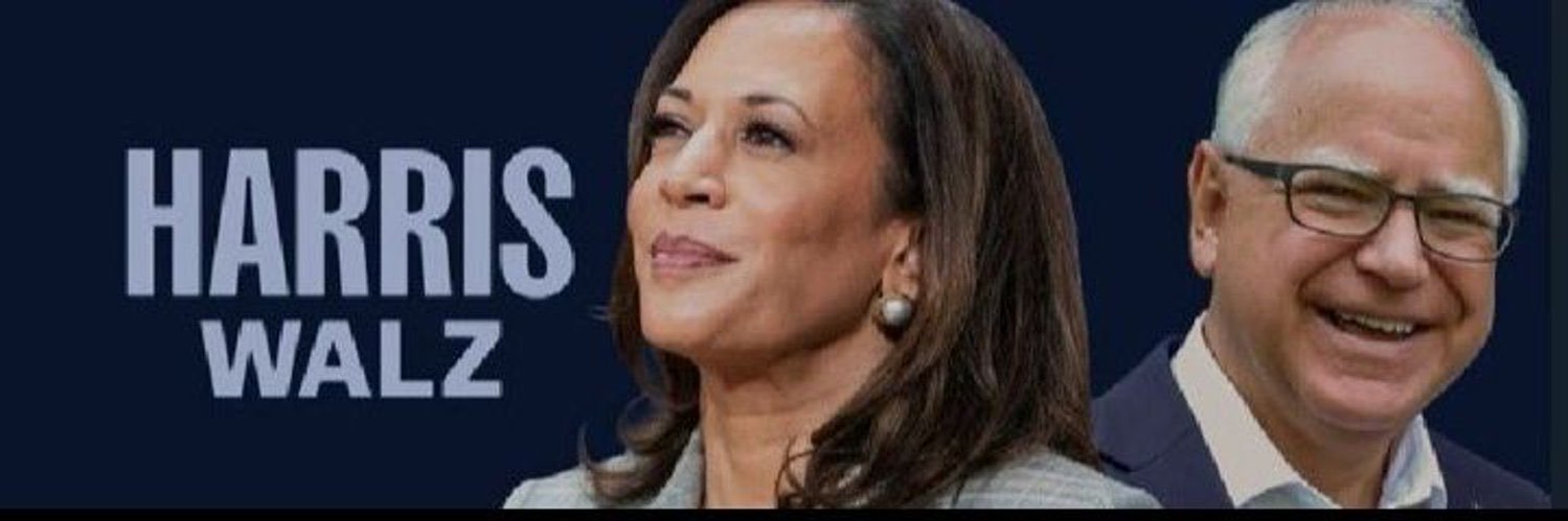 bingbo banner
