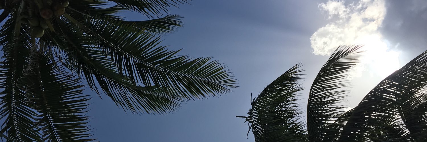 tanizone's profile banner image