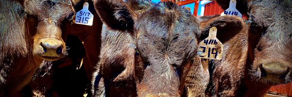 McCaffreyFarms Profile Banner