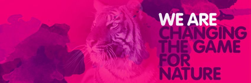 WildTeamTalk's profile banner image