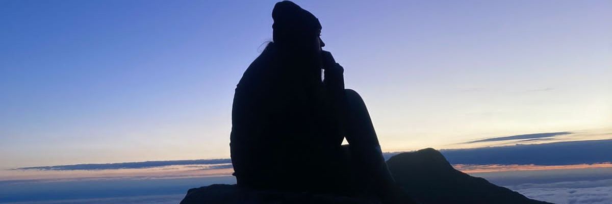 emyschneider's profile banner image