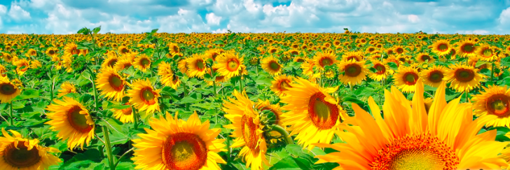 karencasher's profile banner image