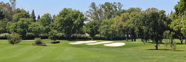 Raul de la Flor banner