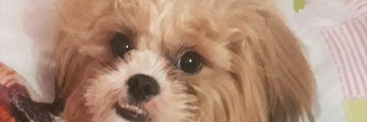 visblue22's profile banner image