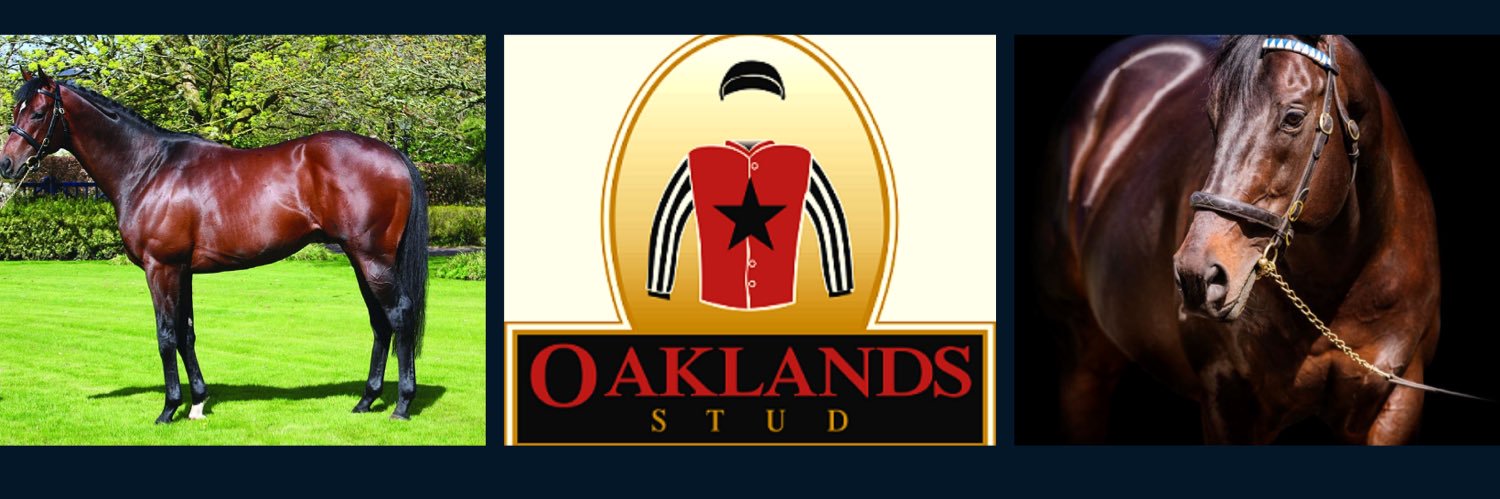 Oaklands Stud banner