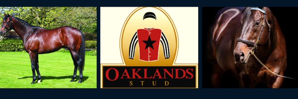 Oaklandsstud Profile Banner