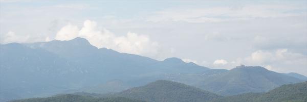 amgiralt Profile Banner