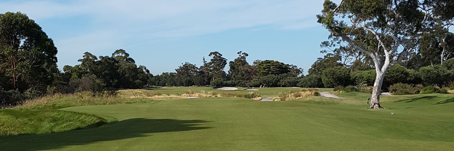 antipodeanreed's profile banner image