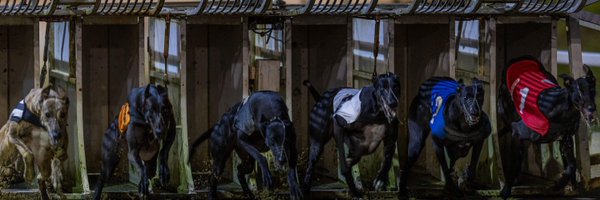 donnydogs Profile Banner