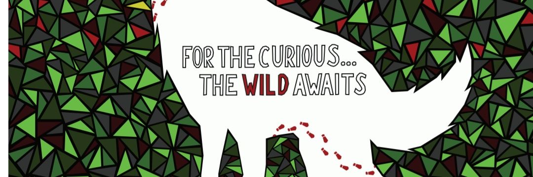 NovusTheatreNT's profile banner image