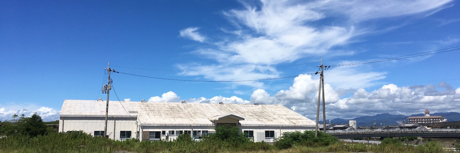 S. quinqueradiata banner