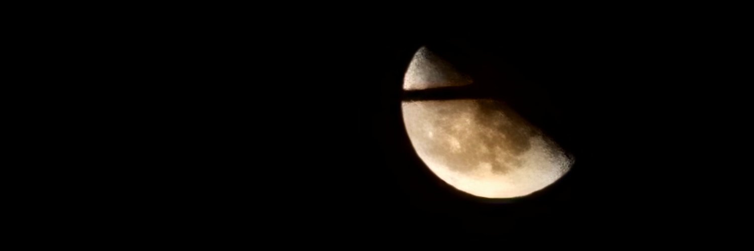 sealoving's profile banner image