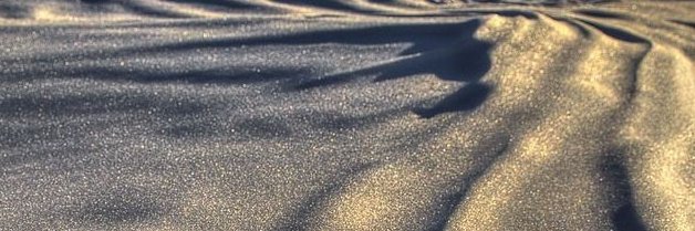 Gary ziwen_Zu banner