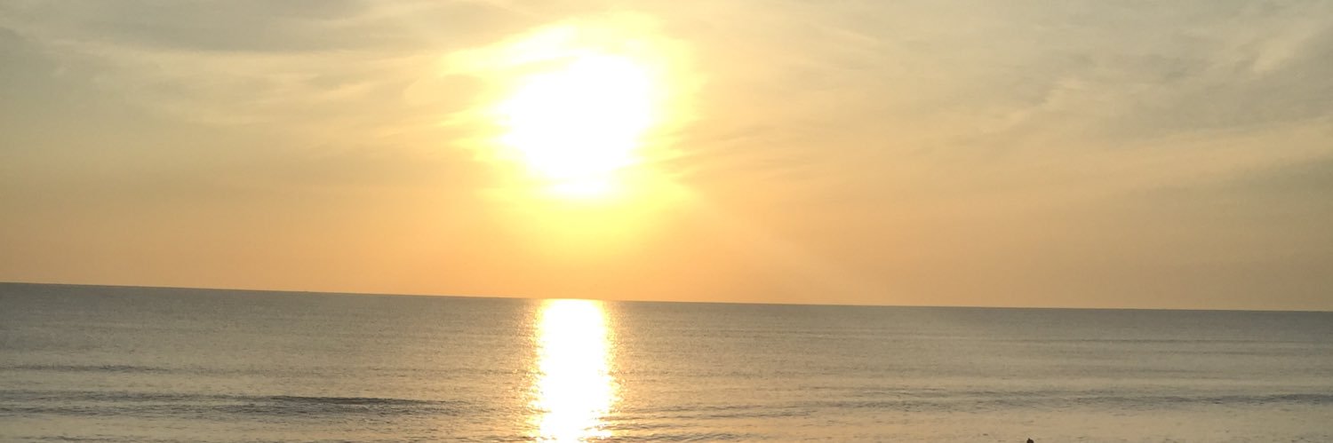 Teresa Cibelli banner