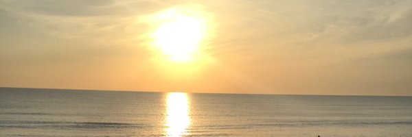 TC913 Profile Banner