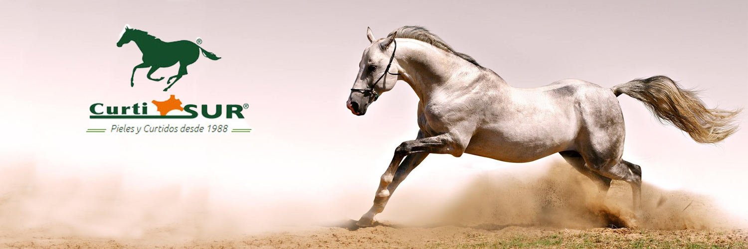 CurtisurCaballo's profile banner image