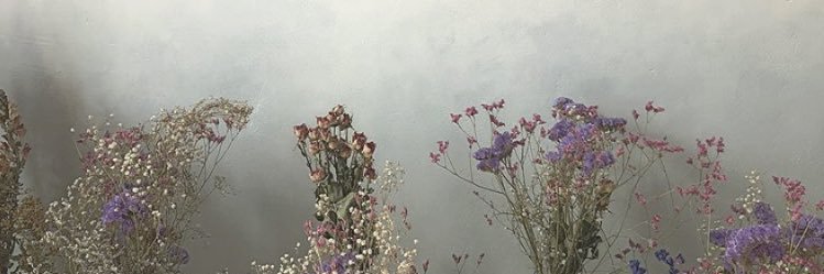 mu___369's profile banner image