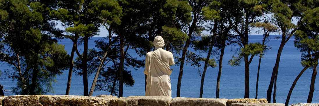 Alberto Tarradas banner