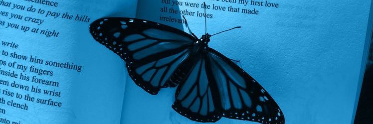 🦋 banner