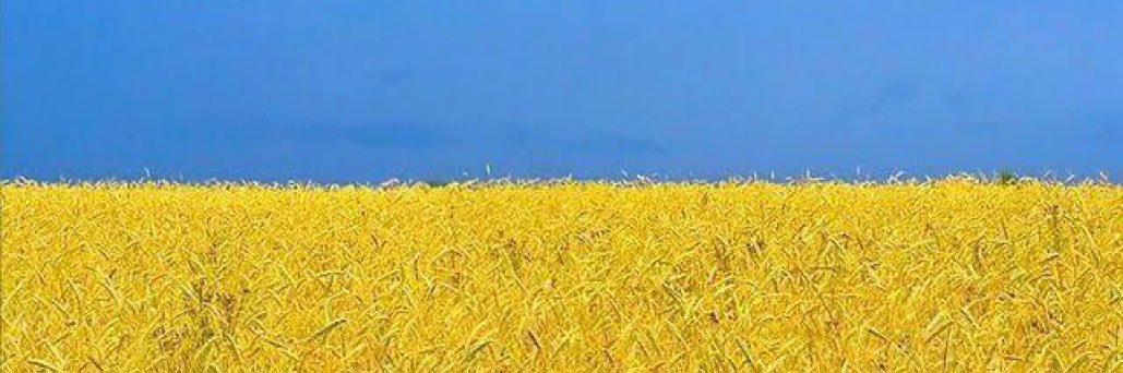 David MP 🇪🇸🇺🇦🇵🇸🇬🇱 banner