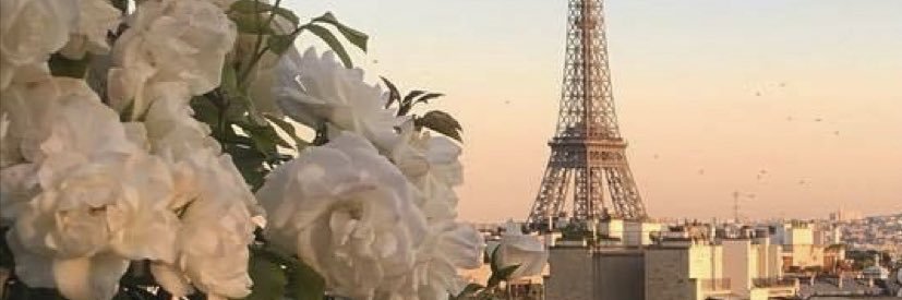 _aligv17's profile banner image
